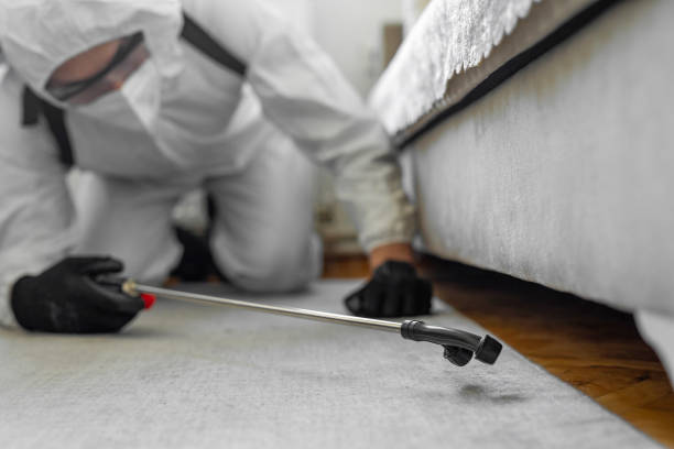 Professional Pest Control technician working in Butte County County, SD